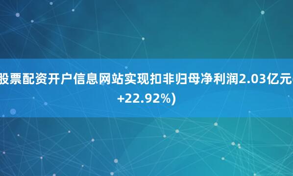 股票配资开户信息网站实现扣非归母净利润2.03亿元(+22.92%)